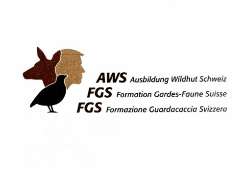 Ausbildung Wildhut Schweiz AWS