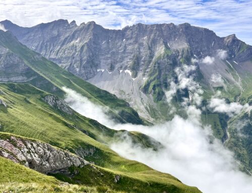 Schafbeweidung und (sub)alpine Lebensräume