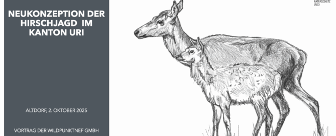 Neukonzeptionierung Uri