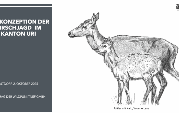 Neukonzeptionierung Uri