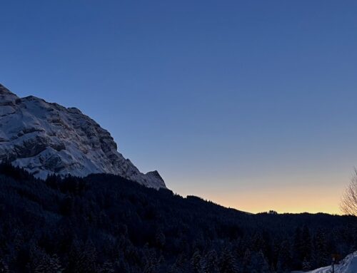 Herzlichen Dank – Grazcha fich