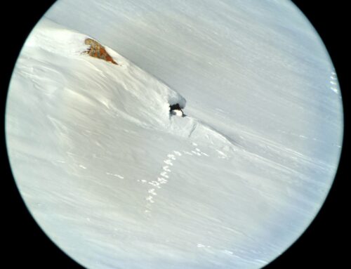 Bella Pasqua – frohe Ostern