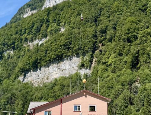 Faunistischer Teilbericht Neubau Ebenalpbahn